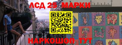 a pvp Славгород