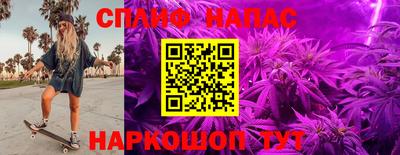 Альфа ПВП Аргун