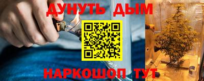 Альфа ПВП Аргун