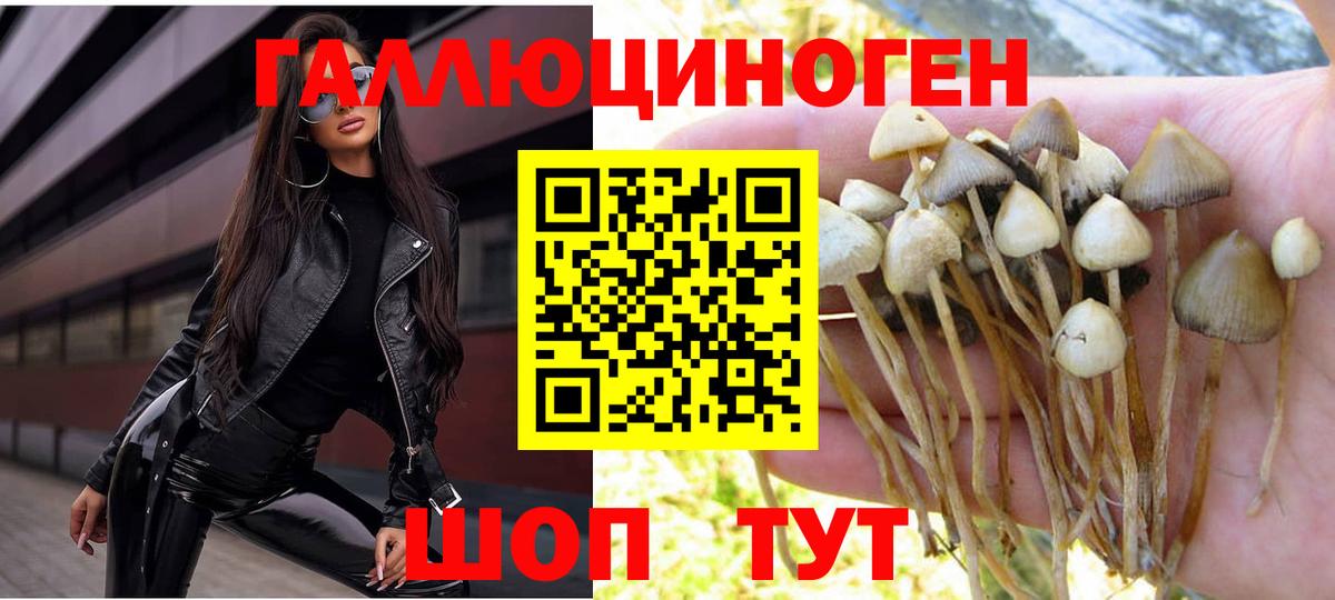 Галлюциногенные грибы Psilocybe  Вход с VPN  Галлюциногенные грибы GOLDEN TEACHER  даркнет сайт  Усинск 